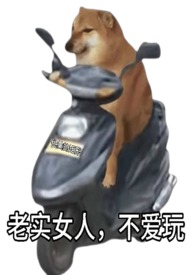 ��ʵŮ�ˣ������棨�촩��