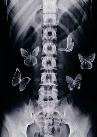 ����ս�����к���������1V1���ֱ�sex��