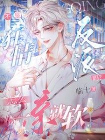 ���ǿ��鷴������ôһ�׾���